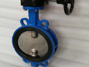 Centerline Wafer Butterfly Valve