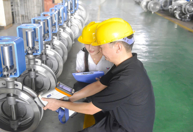Double Offset Butterfly Valve