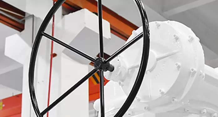 Double Offset Butterfly Valve