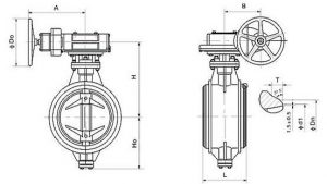 Triple Offset Butterfy Valves