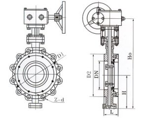 Concentric Line Resilient Butterfly Valve