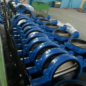 Cast Steel CF8M 2” 150LB Wafer High Performance Butterfly Valve